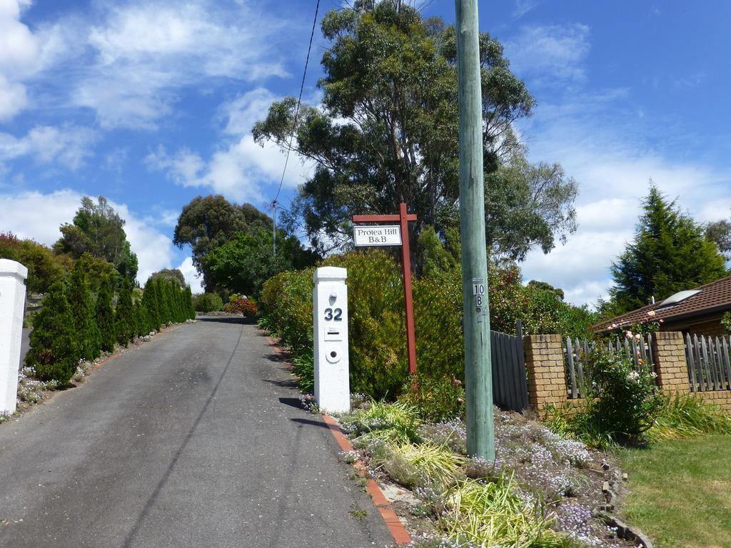 Protea Hill Bed & Breakfast Launceston Exterior photo