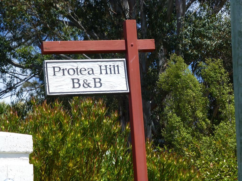 Protea Hill Bed & Breakfast Launceston Exterior photo