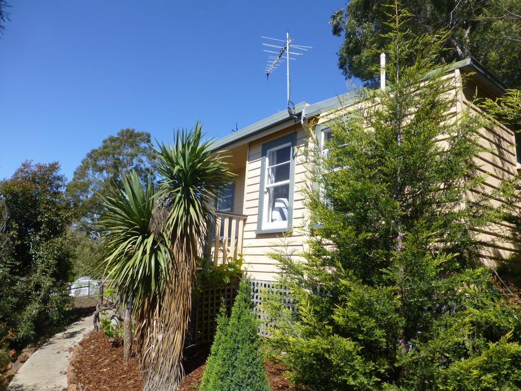 Protea Hill Bed & Breakfast Launceston Exterior photo